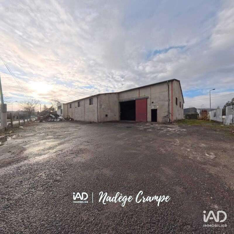 Photo 7 - Commerce à IBOS