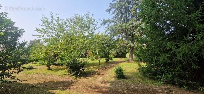 Appartement à CAZAUBON