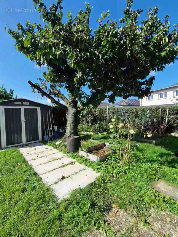 Maison à SAINTE-CROIX-EN-PLAINE