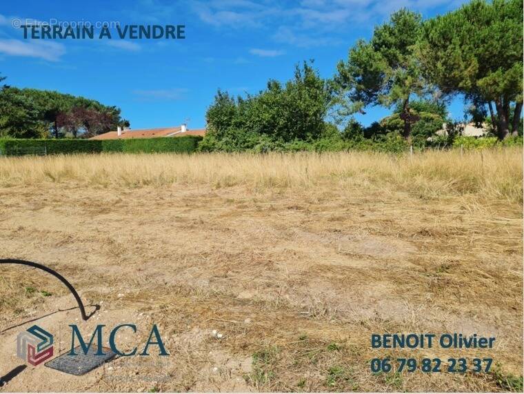 Terrain à SAINT-AUGUSTIN