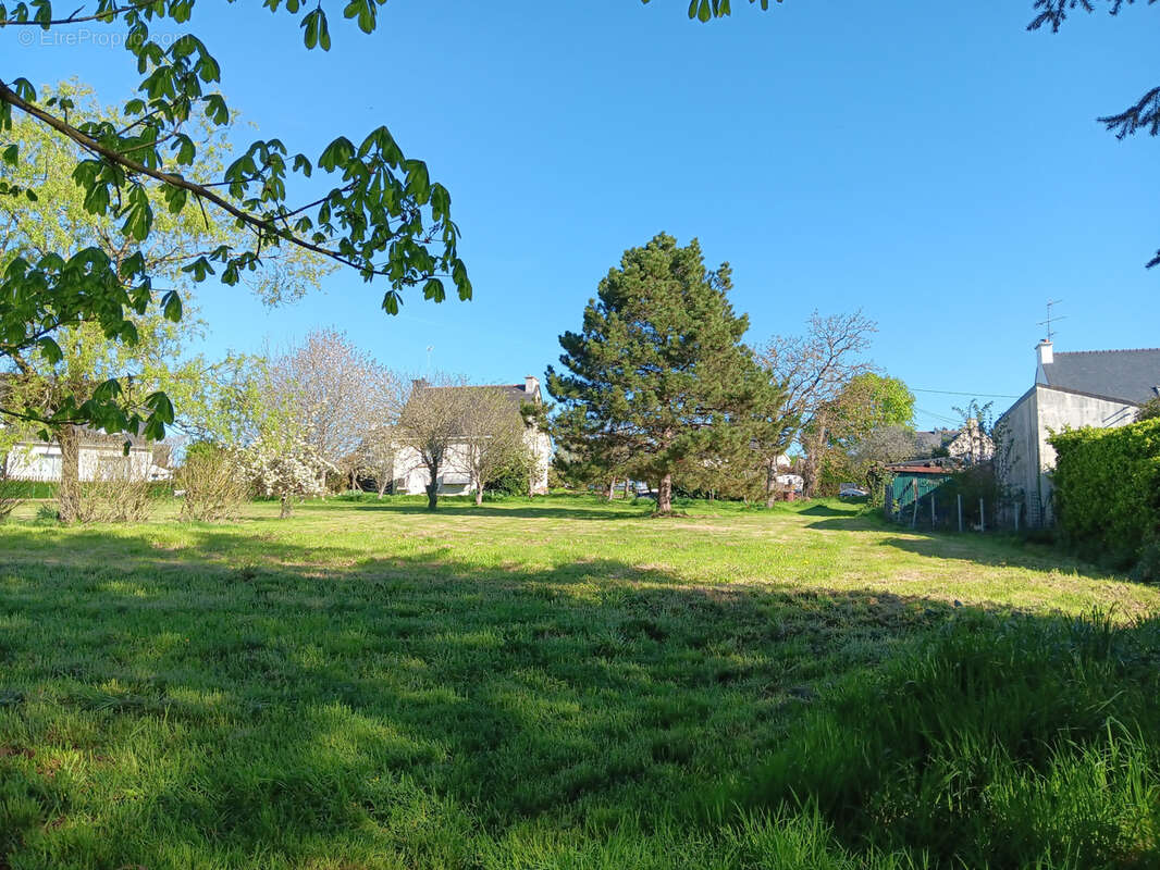 Terrain à SAINT-BARTHELEMY