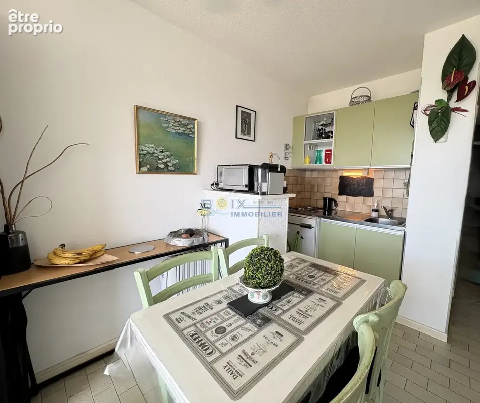 Appartement T1  traversant SH 25 M2  avec loggia et  parking privé - photo 3