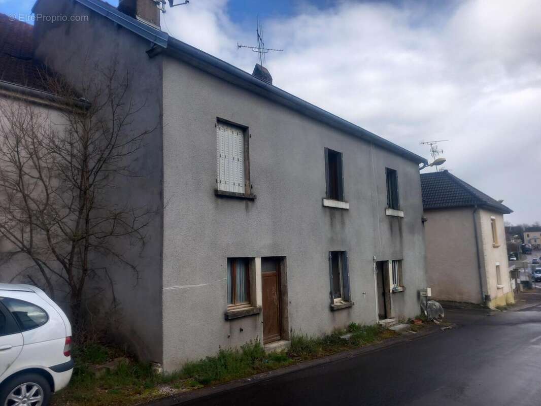 Photo 2 - Maison à NOIDANS-LE-FERROUX