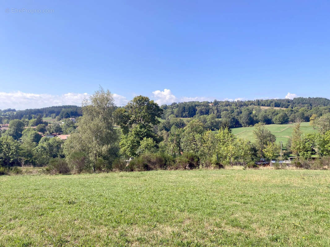 Terrain à CRAPONNE-SUR-ARZON