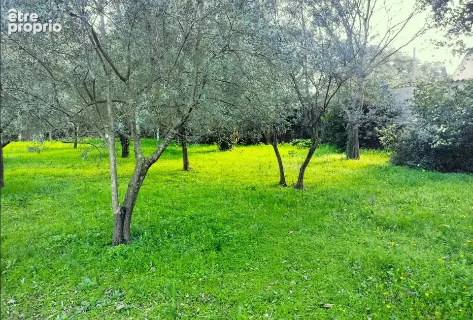 Terrain 1000 m² à Draguignan  - photo 4