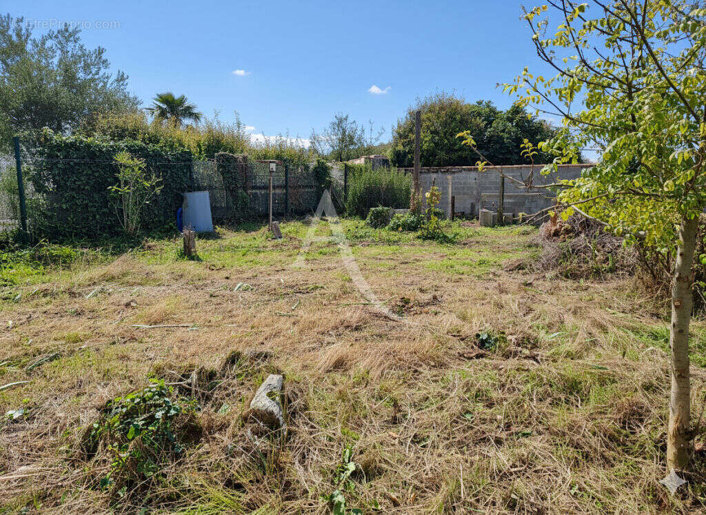 Terrain à SALLES-SUR-MER