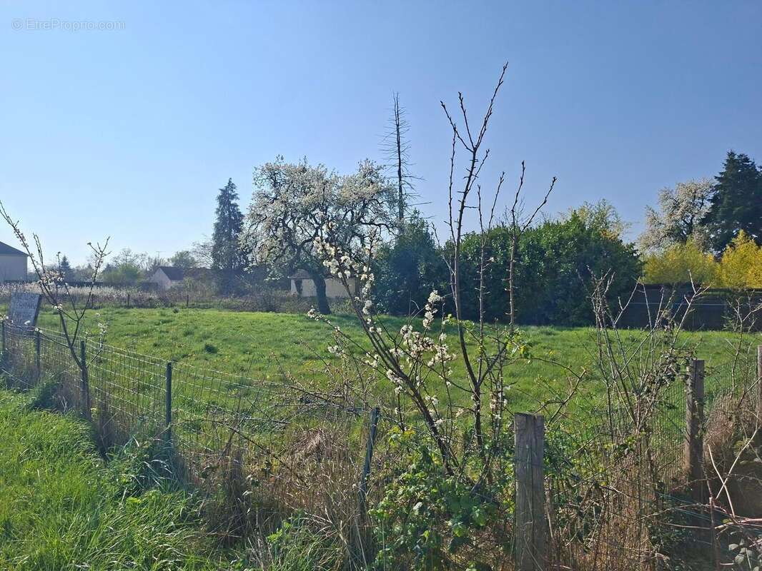 Terrain 713 m² à Nibelle  - photo 3