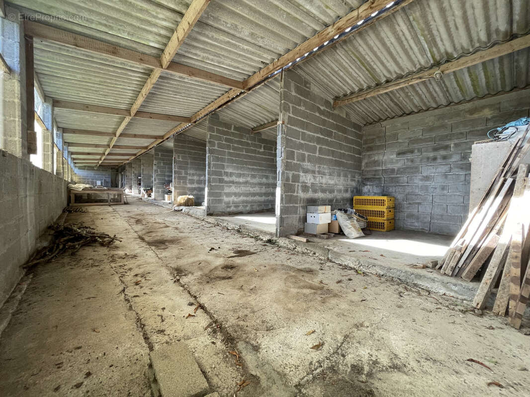 Maison à SAINT-GEREON