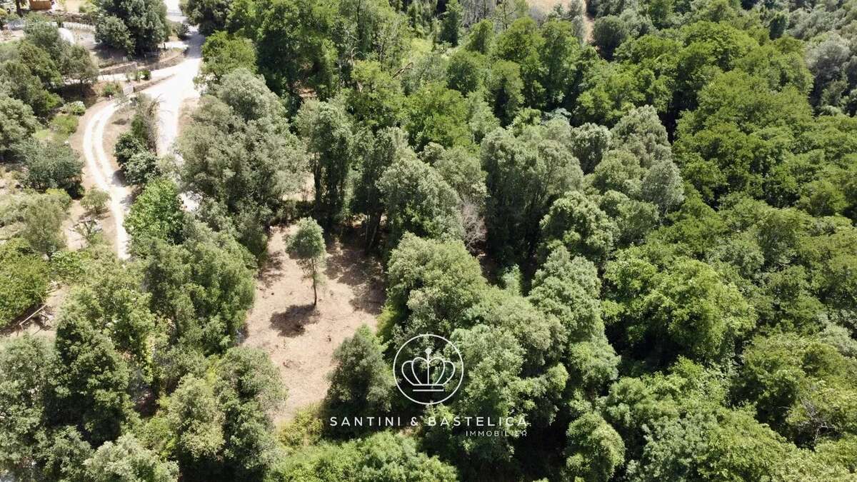 Terrain constructible de 1 641 m² à Vero en Corse-du-Sud : une opportunité rare entre mer et montagne - photo 5