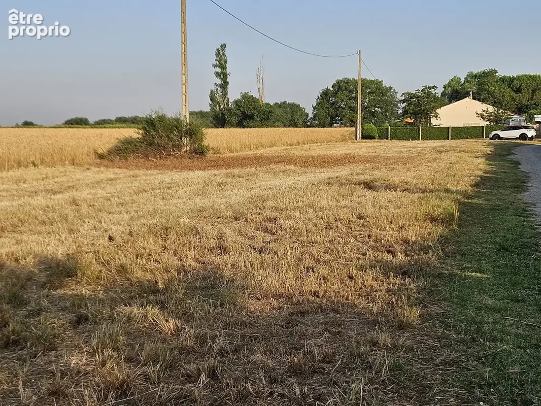 Seysses terrain constructible - photo 2