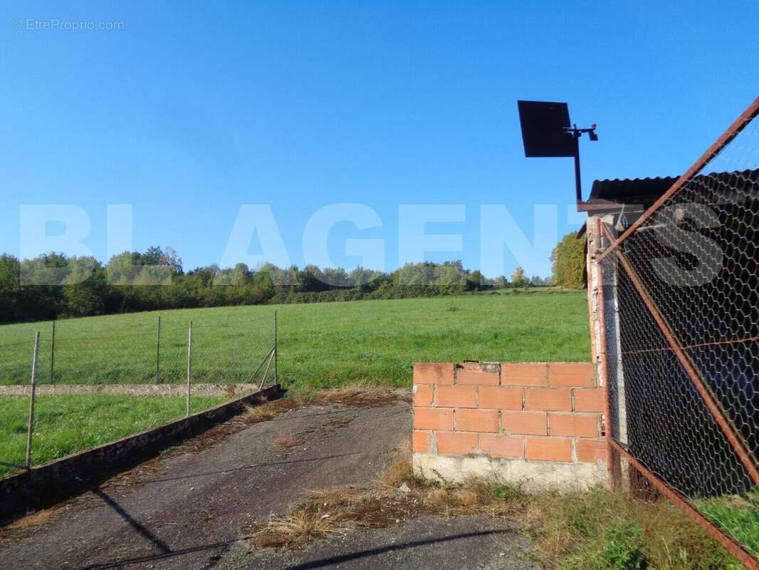 DSC04067 - Maison à MOISSAC