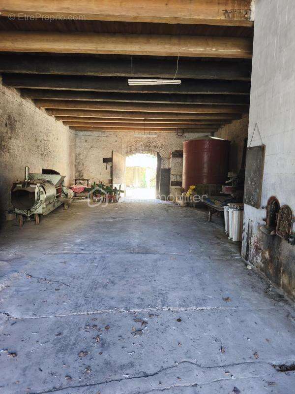 cave vinicole - photo 15