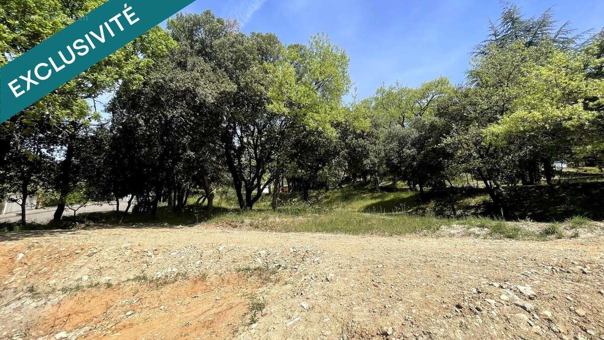 Photo 2 - Terrain à MONDRAGON