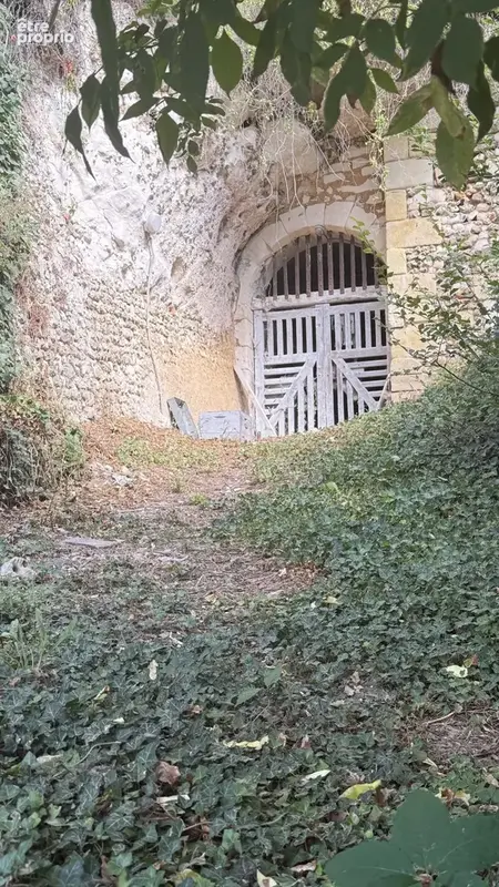 465 m² à Troo  - photo 8