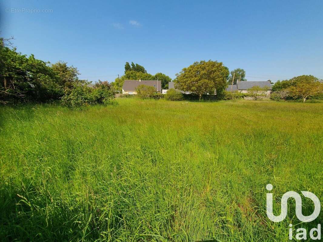 Photo 5 - Terrain à LINGREVILLE