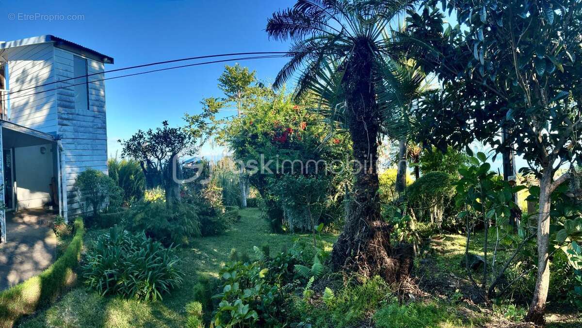 Belle maison située au Guillaume Saint Paul - photo 29