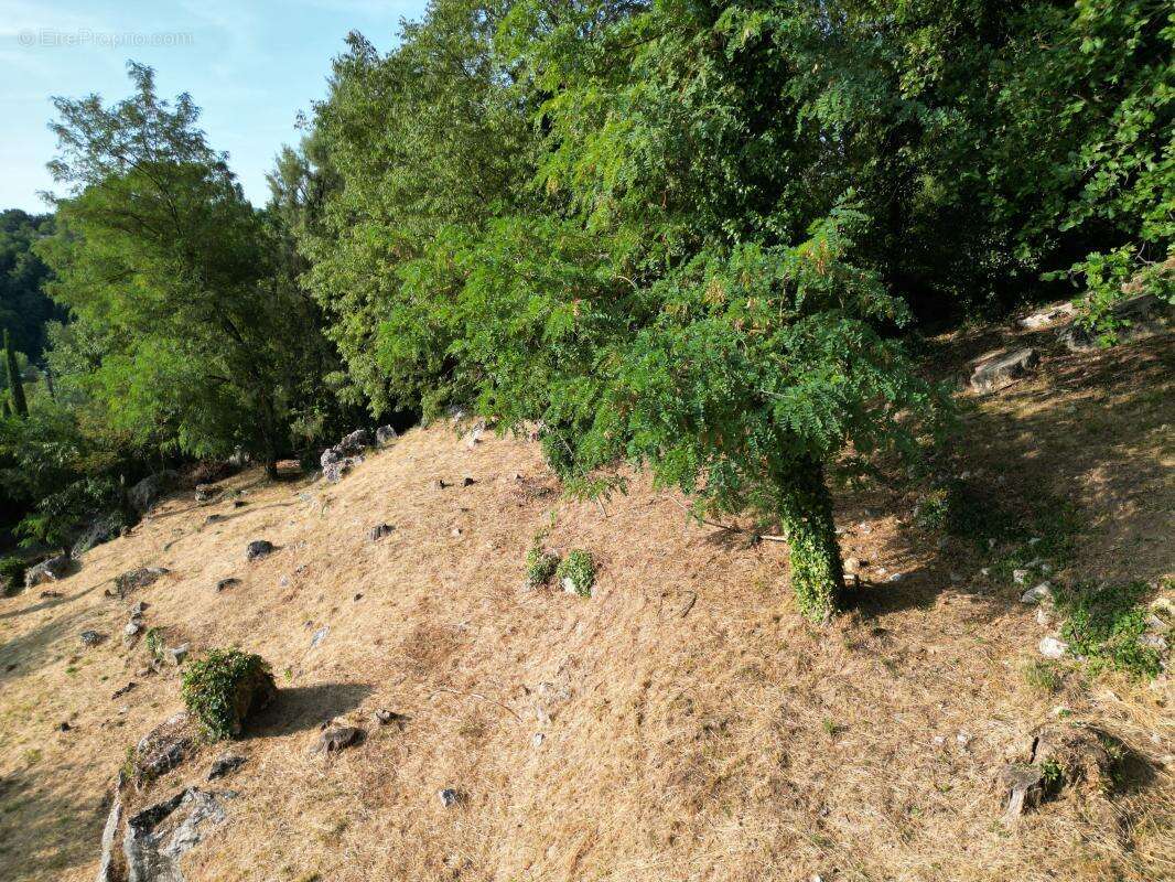 Terrain  constructible à vendre de 2 488 m² - photo 2