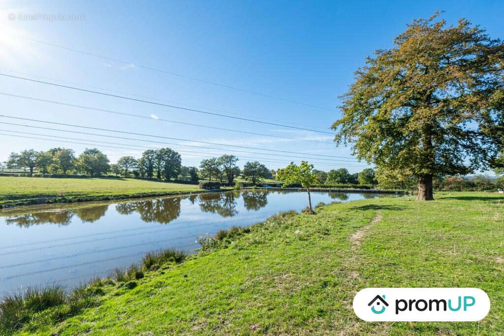 Terrain à SAINT-LAURENT-D'ANDENAY