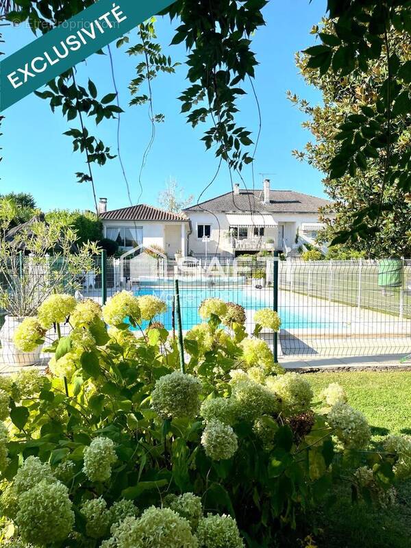 Photo 1 - Maison à ALBI