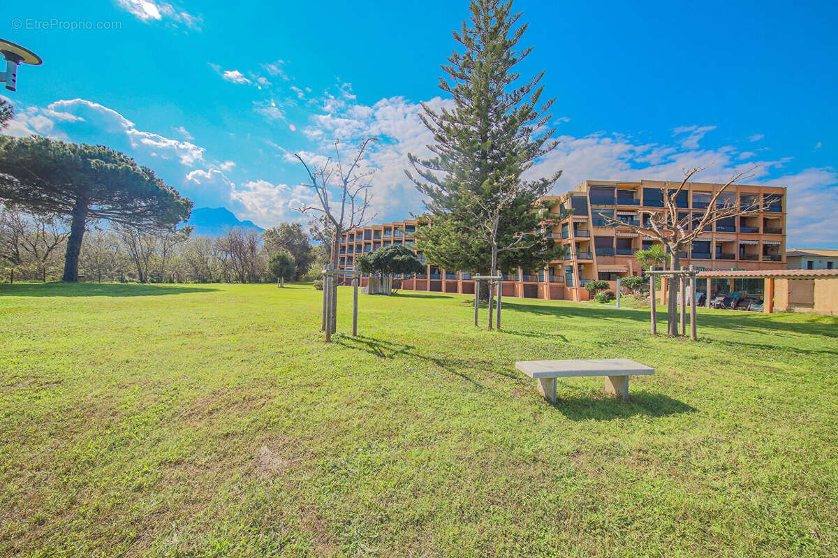 Moriani plage - studio - avec piscine- terrasse - photo 5