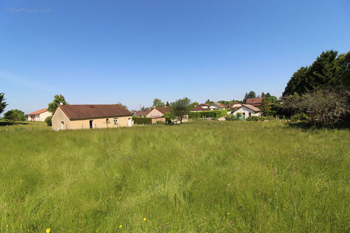 Terrain à SAINT-AMOUR