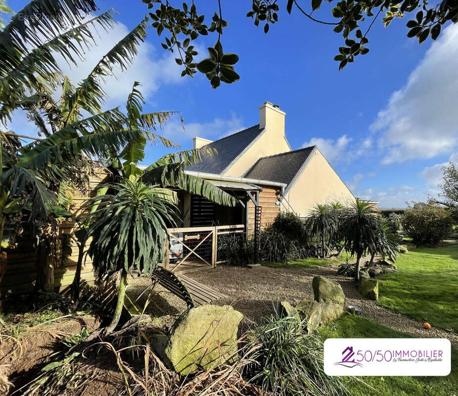 Maison à PLOUZEVEDE