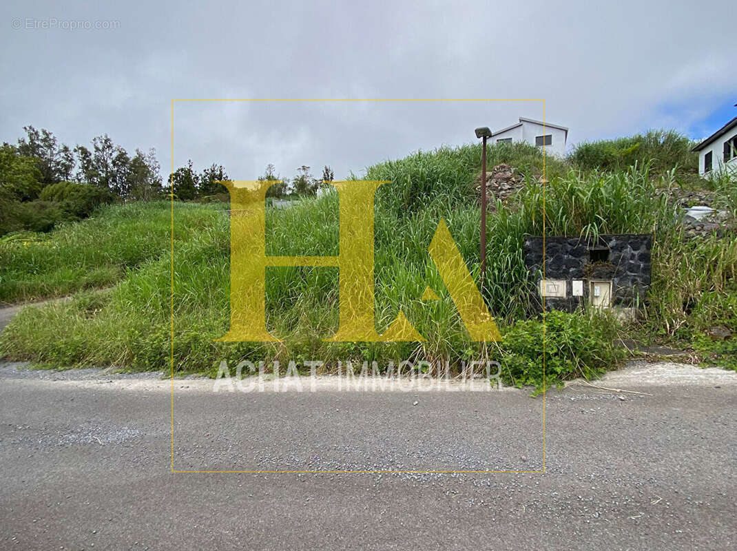 Terrain à LA PLAINE-DES-PALMISTES