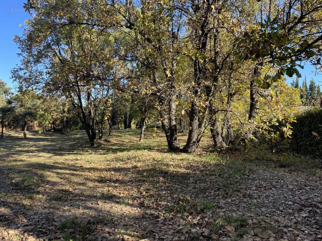 Terrain à LORGUES