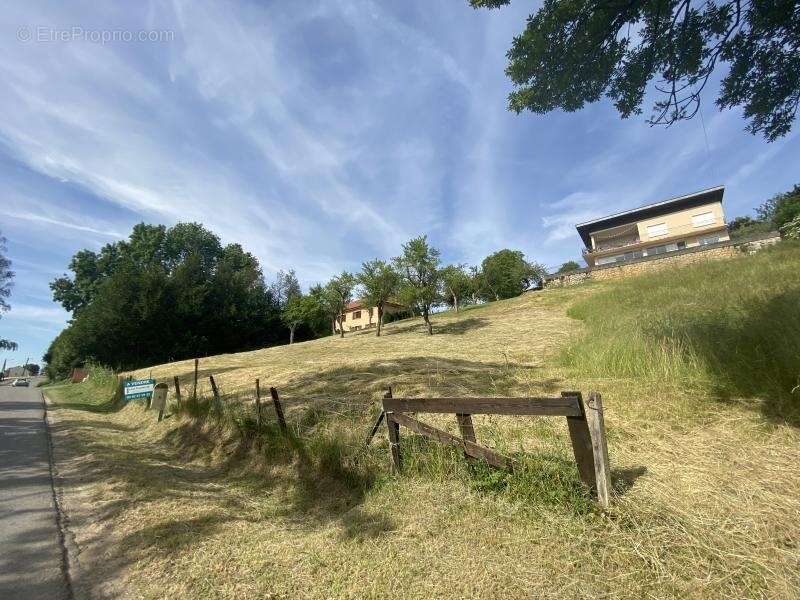 Terrain à BERG-SUR-MOSELLE