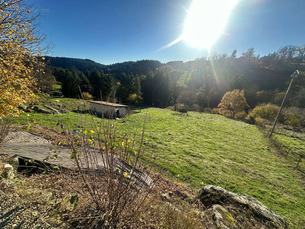 Maison à SAINTE-SIGOLENE