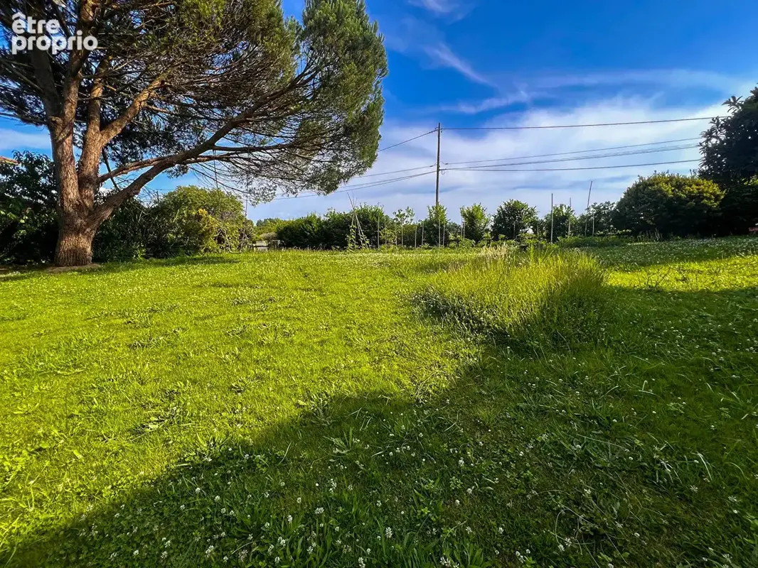 Terrain à bâtir de 879 m2 - 15 mins de Bayonne, cadre verdyant, au calme, écoles à pied, - photo 4
