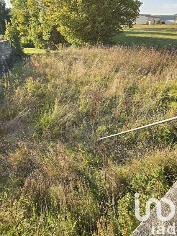 Photo 3 - Terrain à DORMANS