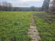 Terrain à SAINT-JEAN-SUR-VEYLE