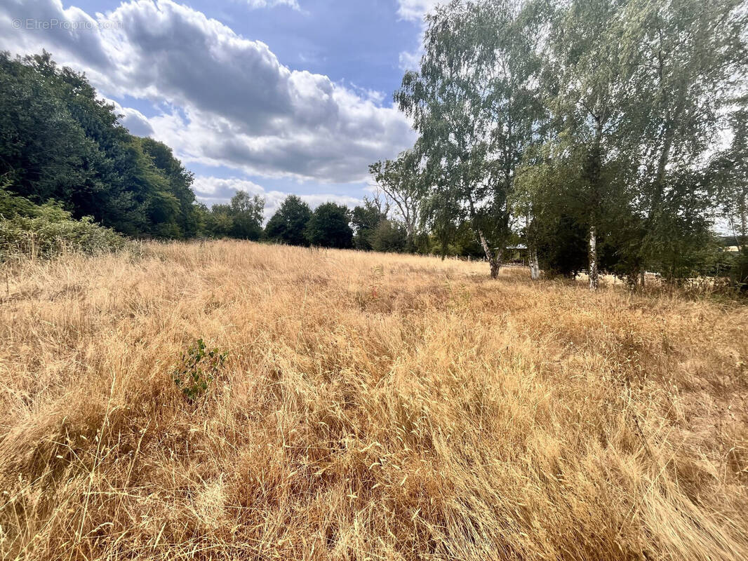 Terrain à HEURTEAUVILLE