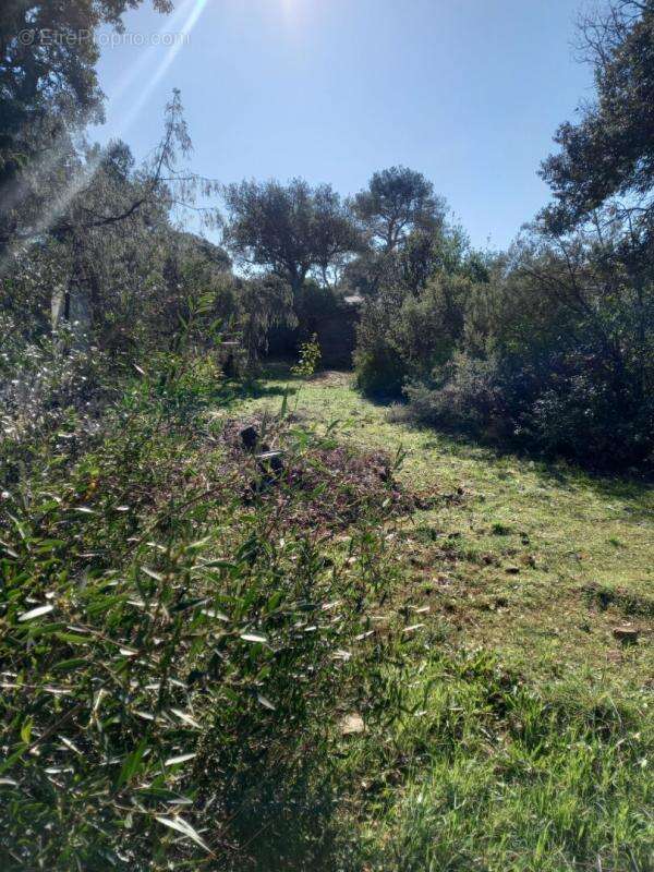 Terrain à LE CANNET-DES-MAURES