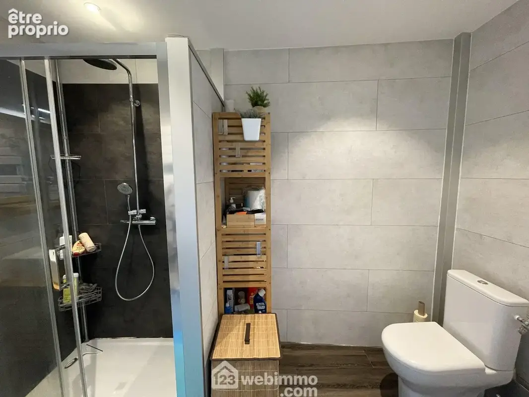 Salle de douche avec WC