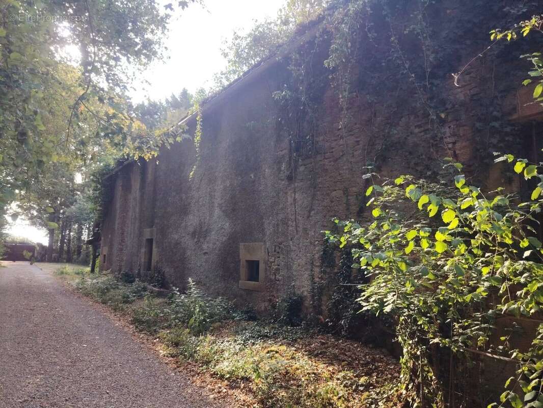 À vendre longère terrain 1,8 ha St-Malo-en-Donziois - photo 35