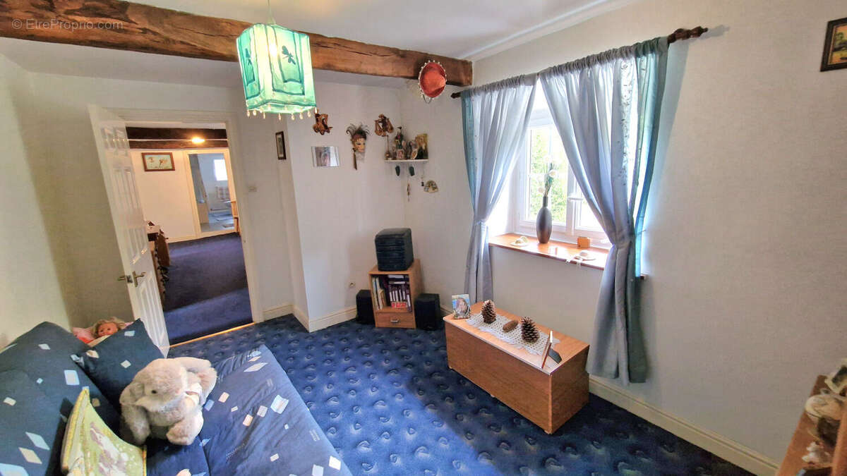 CÔTES D'ARMOR  Plemet - Belle et spacieuse maison en pierre avec gîte de 2 chambres, grand jardin, garage, parking, rural. - photo 11