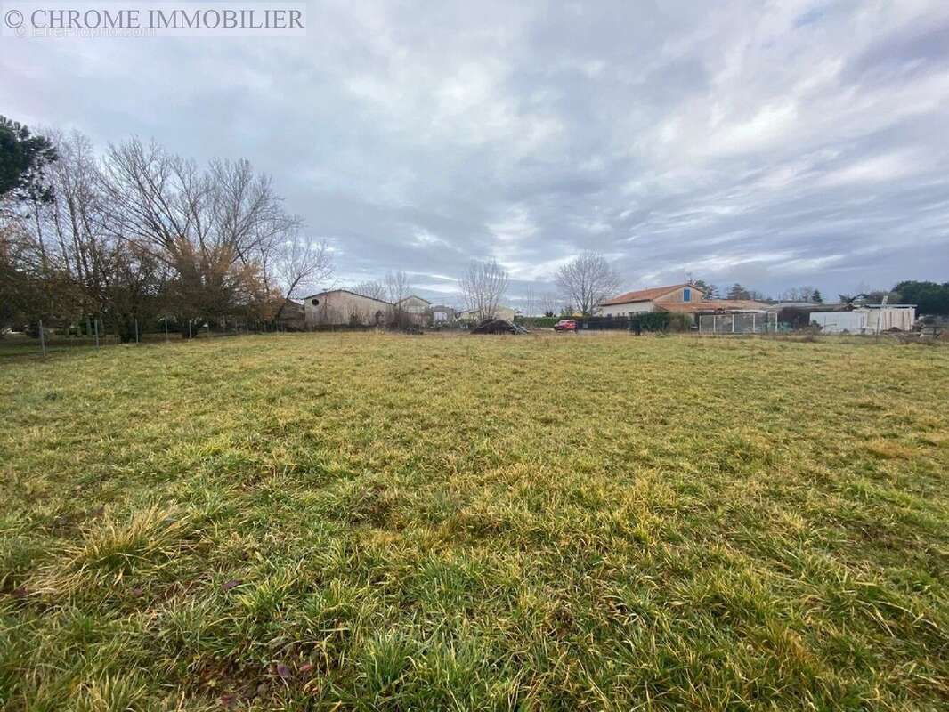 Terrain à PELLEGRUE