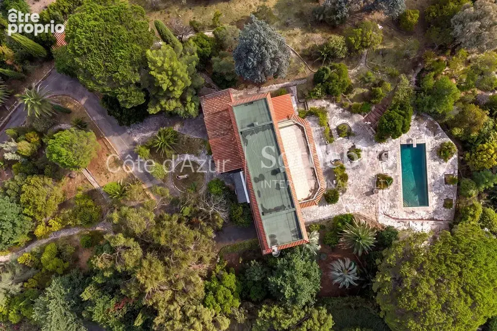 Super Cannes, terrain de 6 071 m² avec permis purgé pour deux villas vue mer - photo 2
