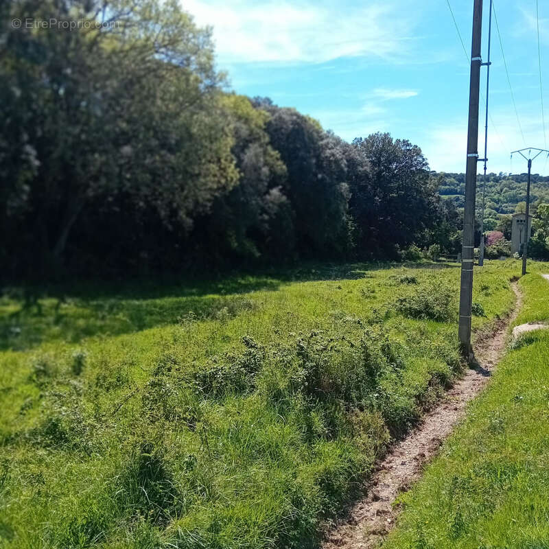 Terrain à MONTOLIEU