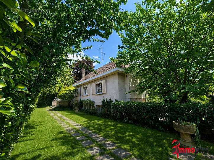 Villa plain-pied centre Saint-Louis 190m2 avec piscine intérieure - photo 3