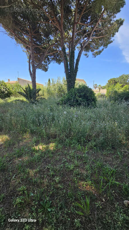 Terrain à AGDE