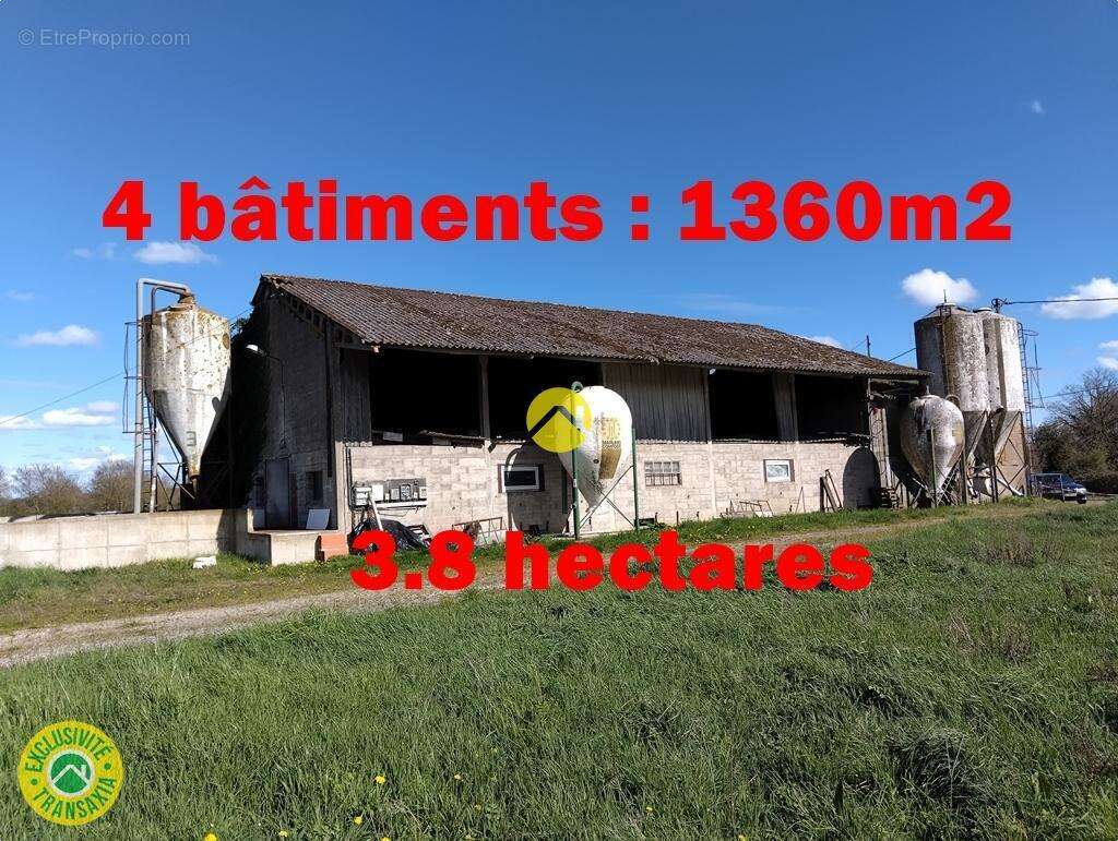 Commerce à LURCY-LEVIS