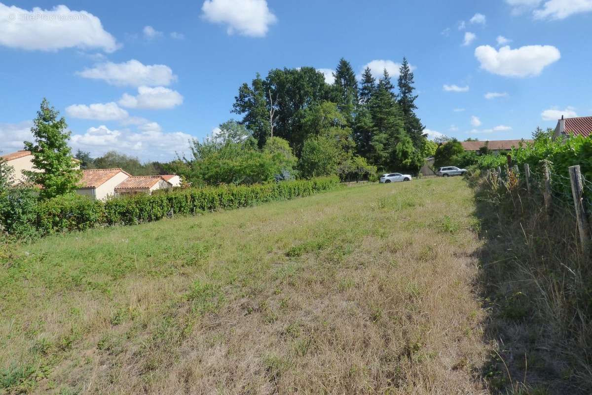 Terrain à CHANTONNAY