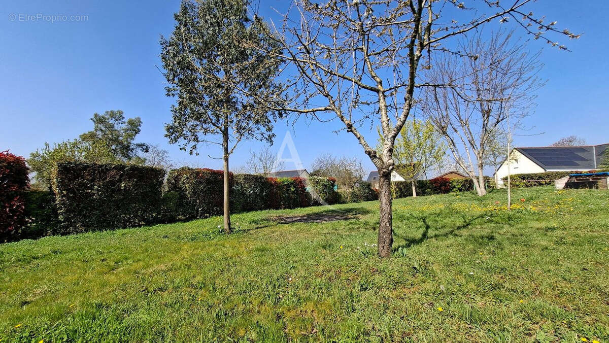 Terrain à VILLEVEQUE