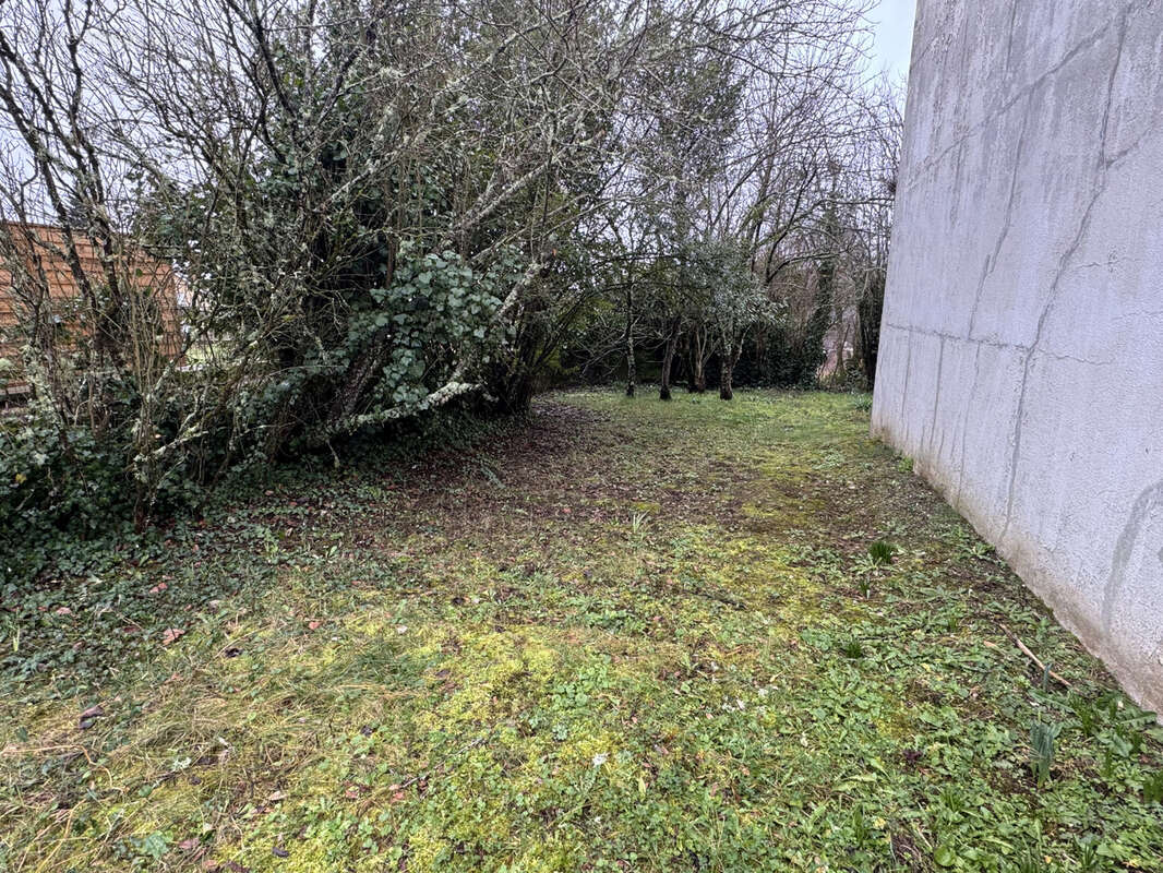 Exclusivité - maison 4 chambres et jardin proche centre-ville - photo 11