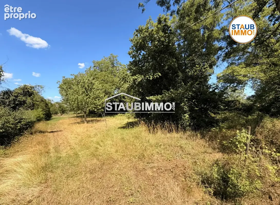 Terrain 3983 m² à Rosenau  - photo 3