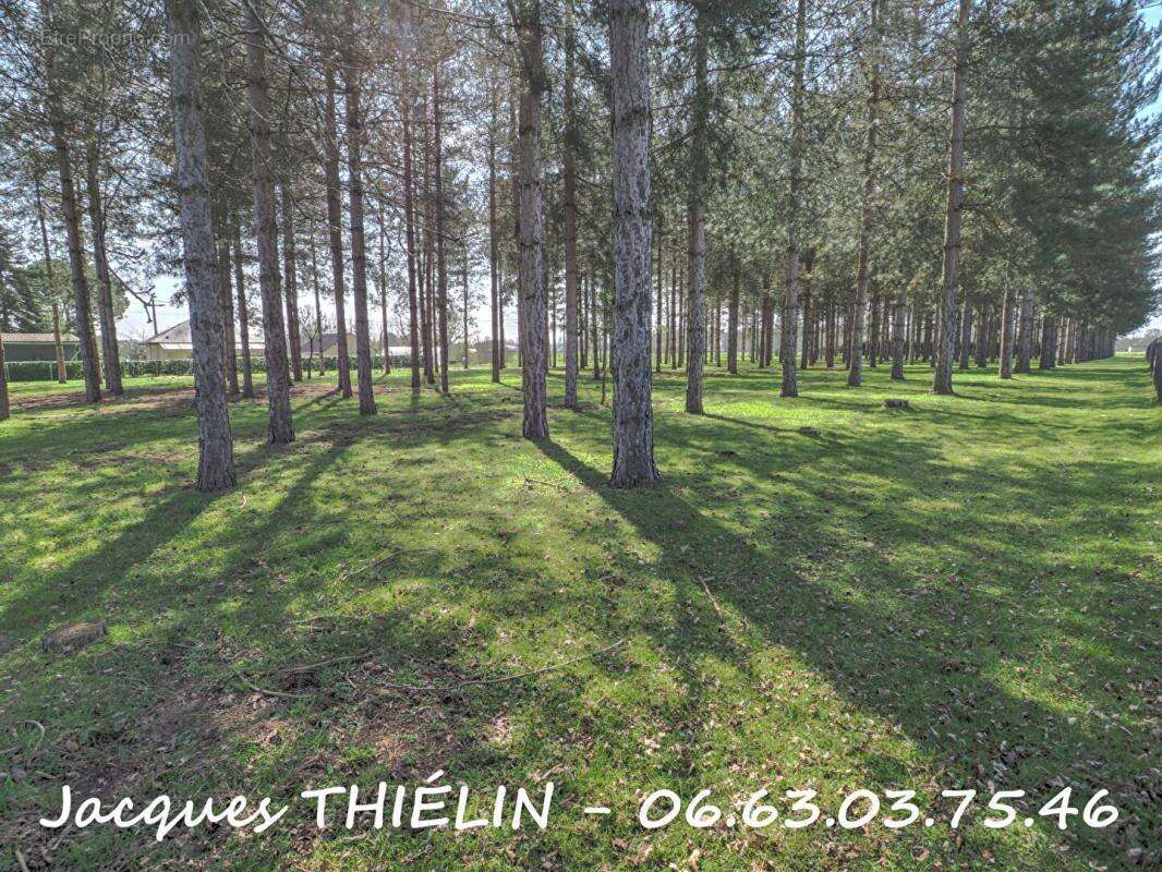 Maison à BEAUFORT-EN-VALLEE