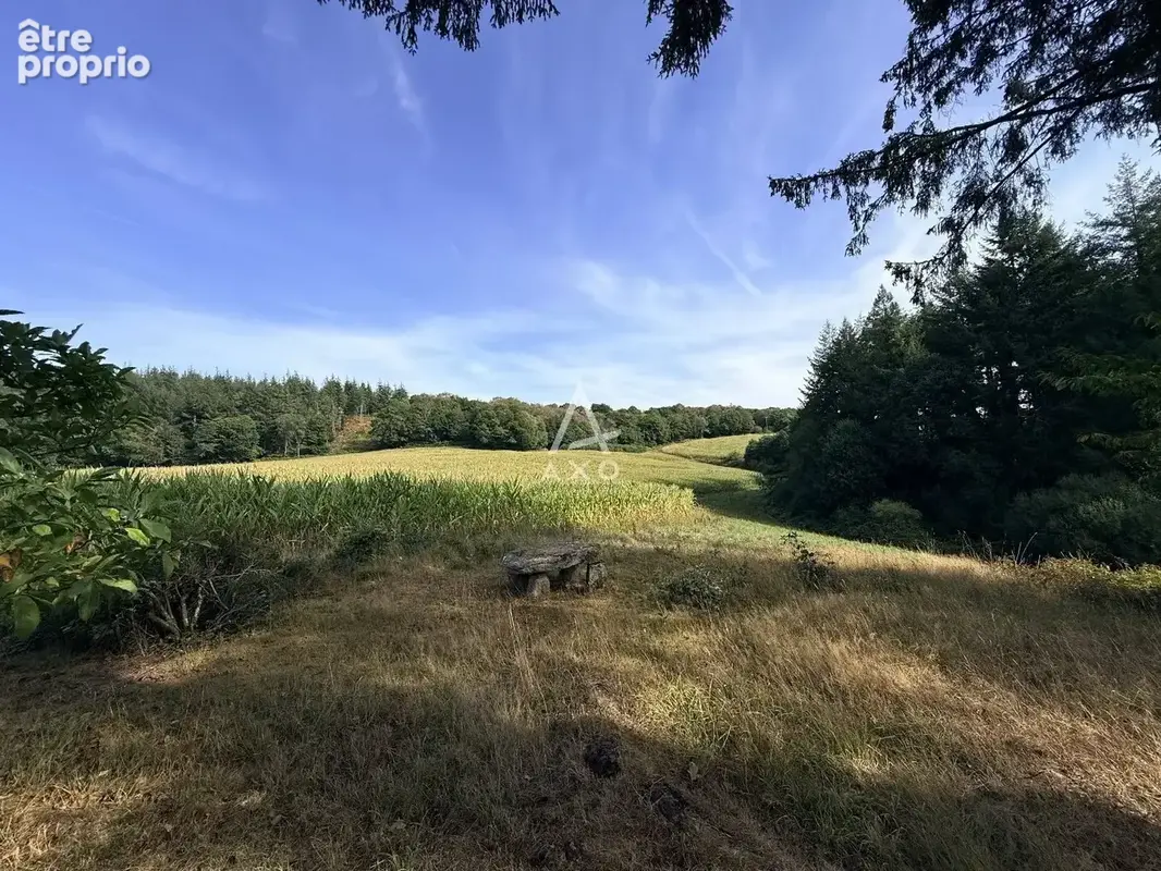 Une propriété rare, rénovée avec goût, où charme et sérénité se rencontrent - photo 22
